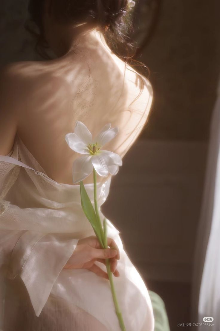 Sương Mờ Gấp Ánh Trăng